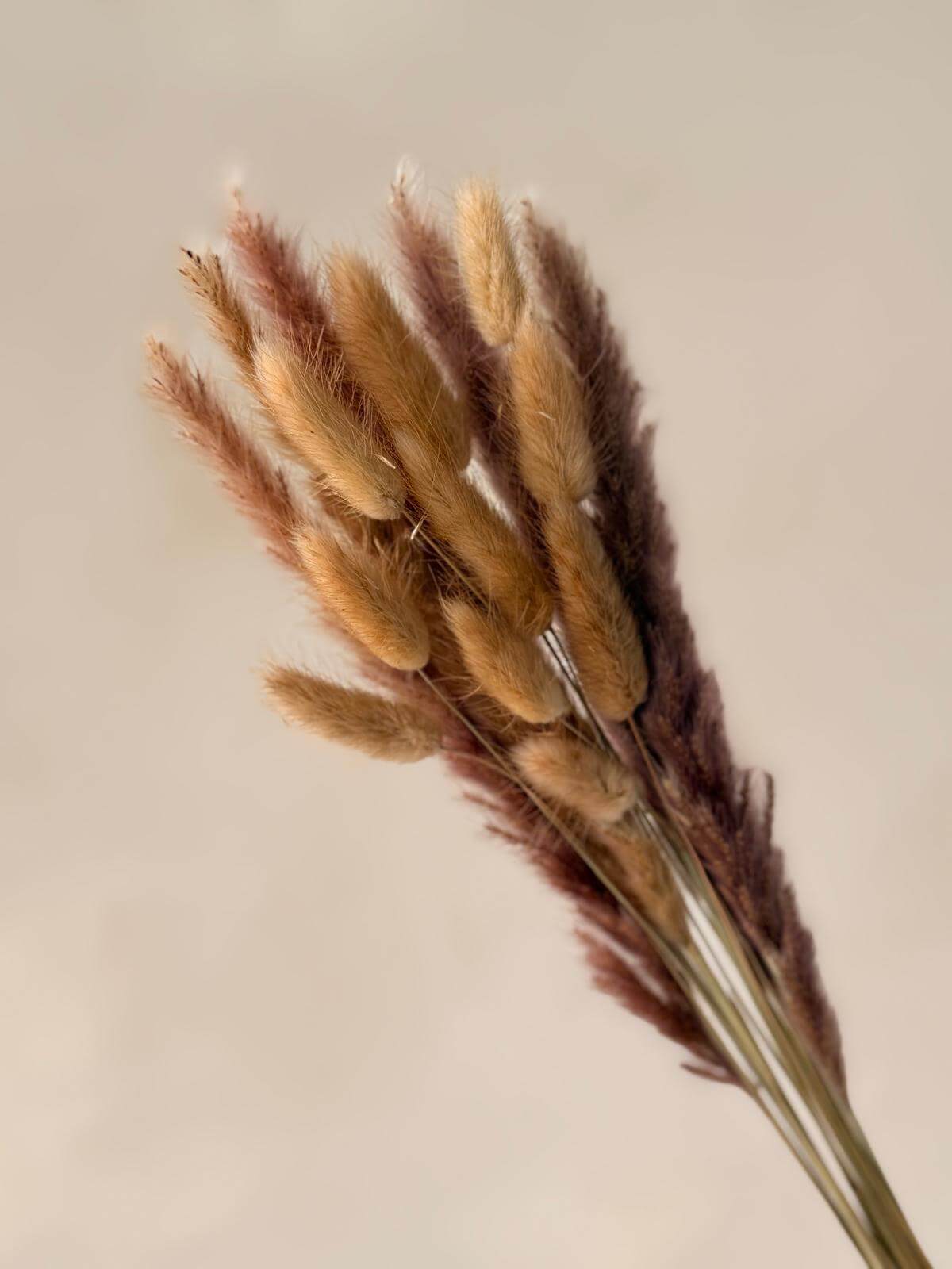 זר מיובש טבעי נייצ'ר