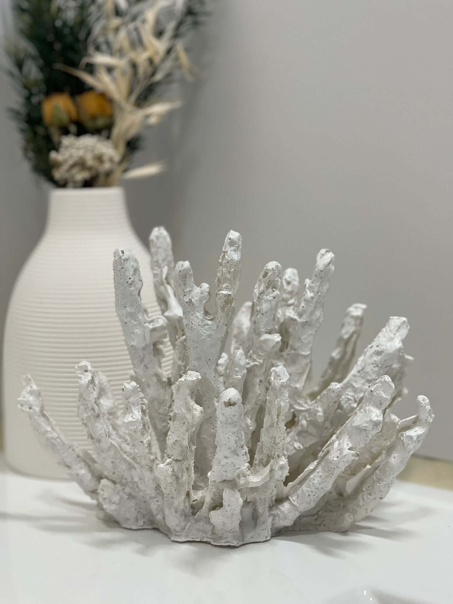 מעמד אלמוג דקורטיבי אושן