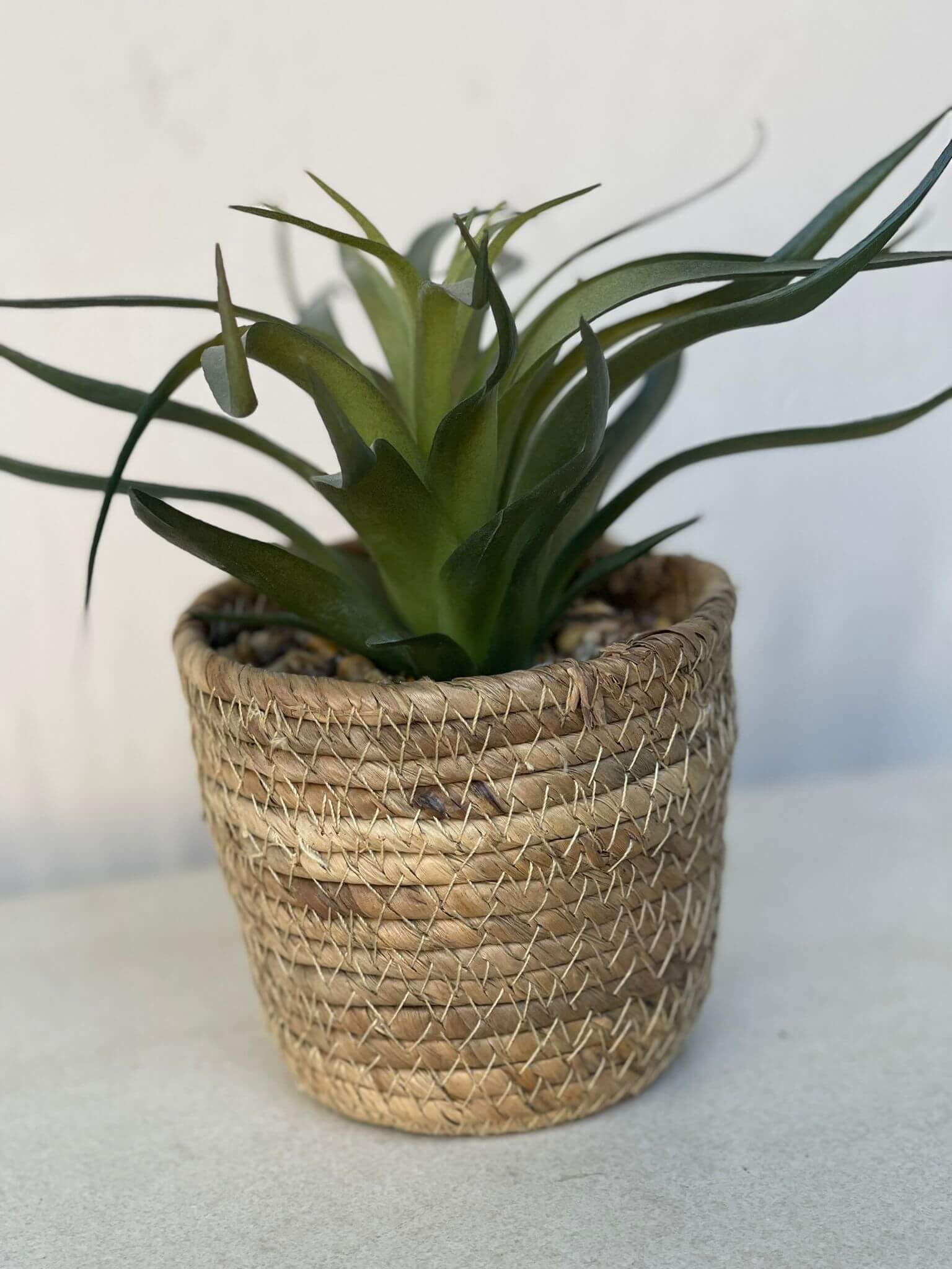 עציץ מלאכותי בכלי קש קלוע