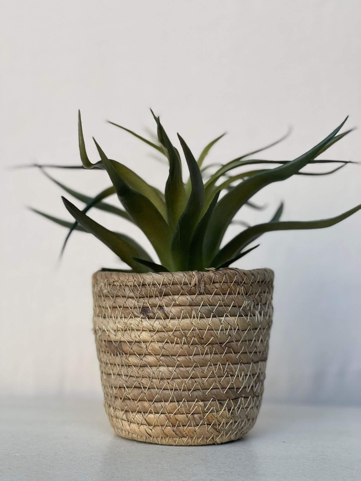 עציץ מלאכותי בכלי קש קלוע