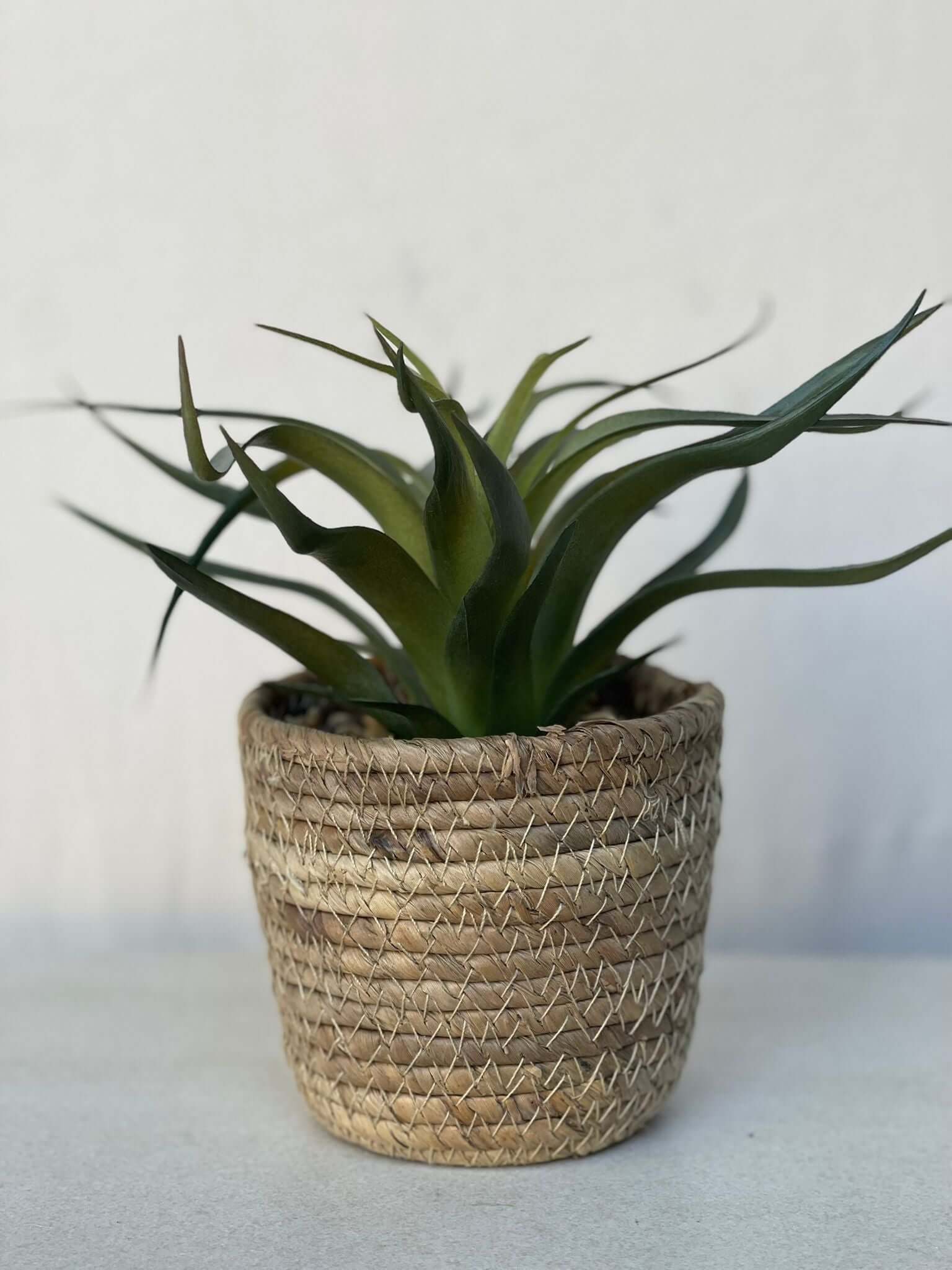 עציץ מלאכותי בכלי קש קלוע