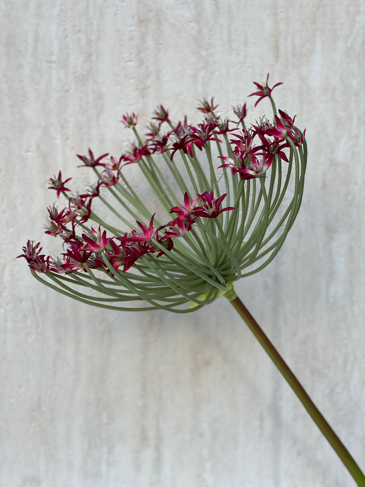 ענף מלאכותי ספיידר בורדו