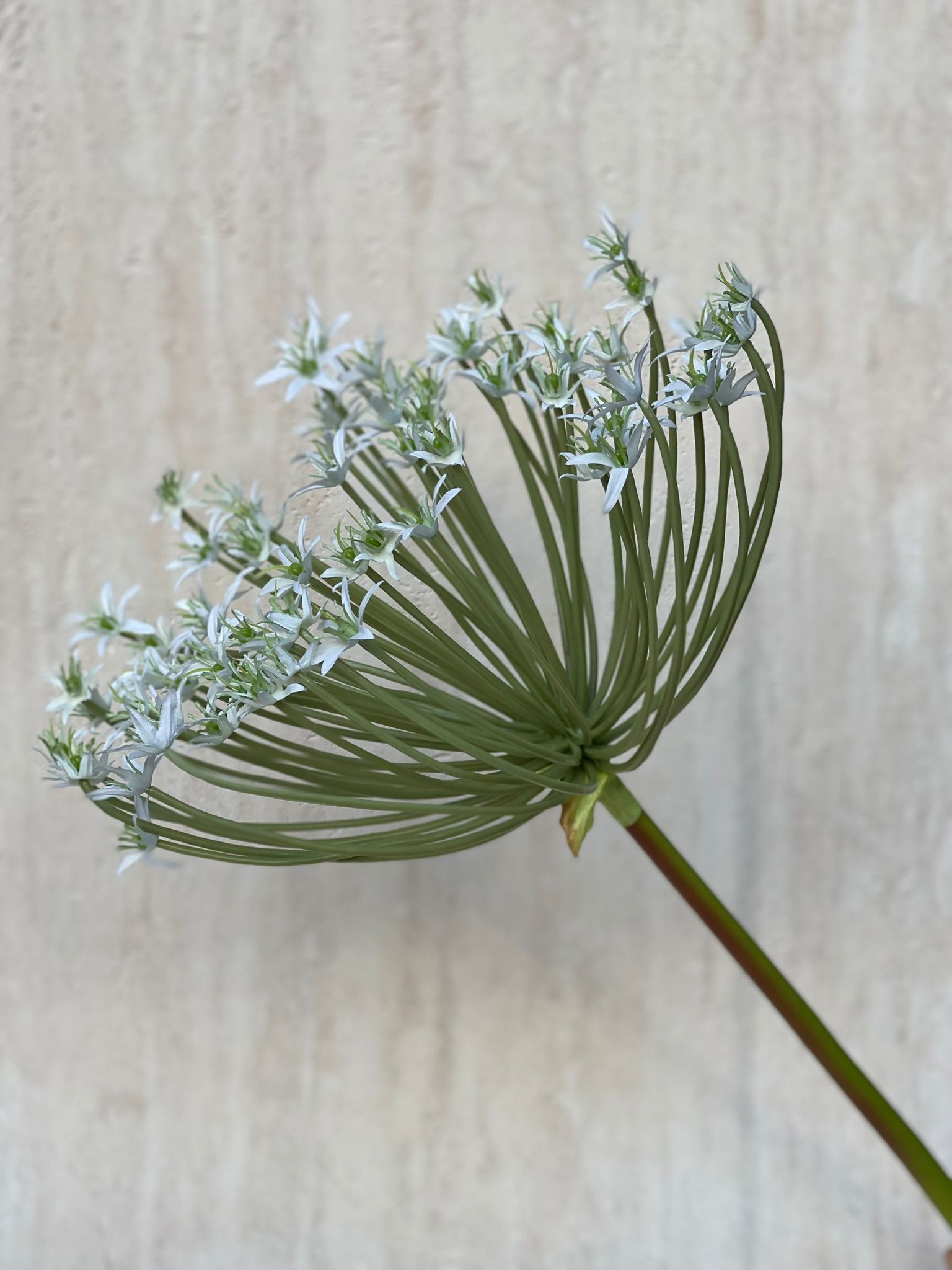 ענף מלאכותי ספיידר לבן