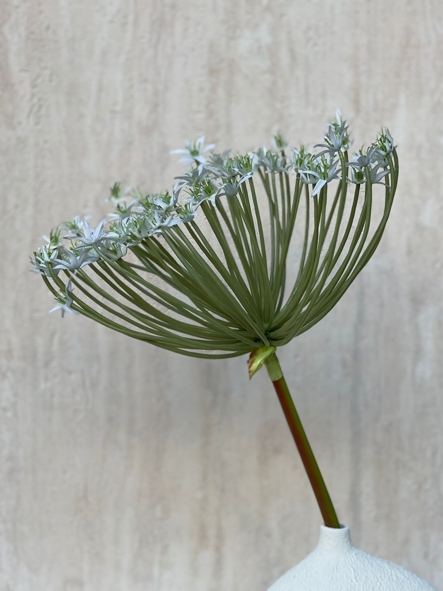 ענף מלאכותי ספיידר לבן