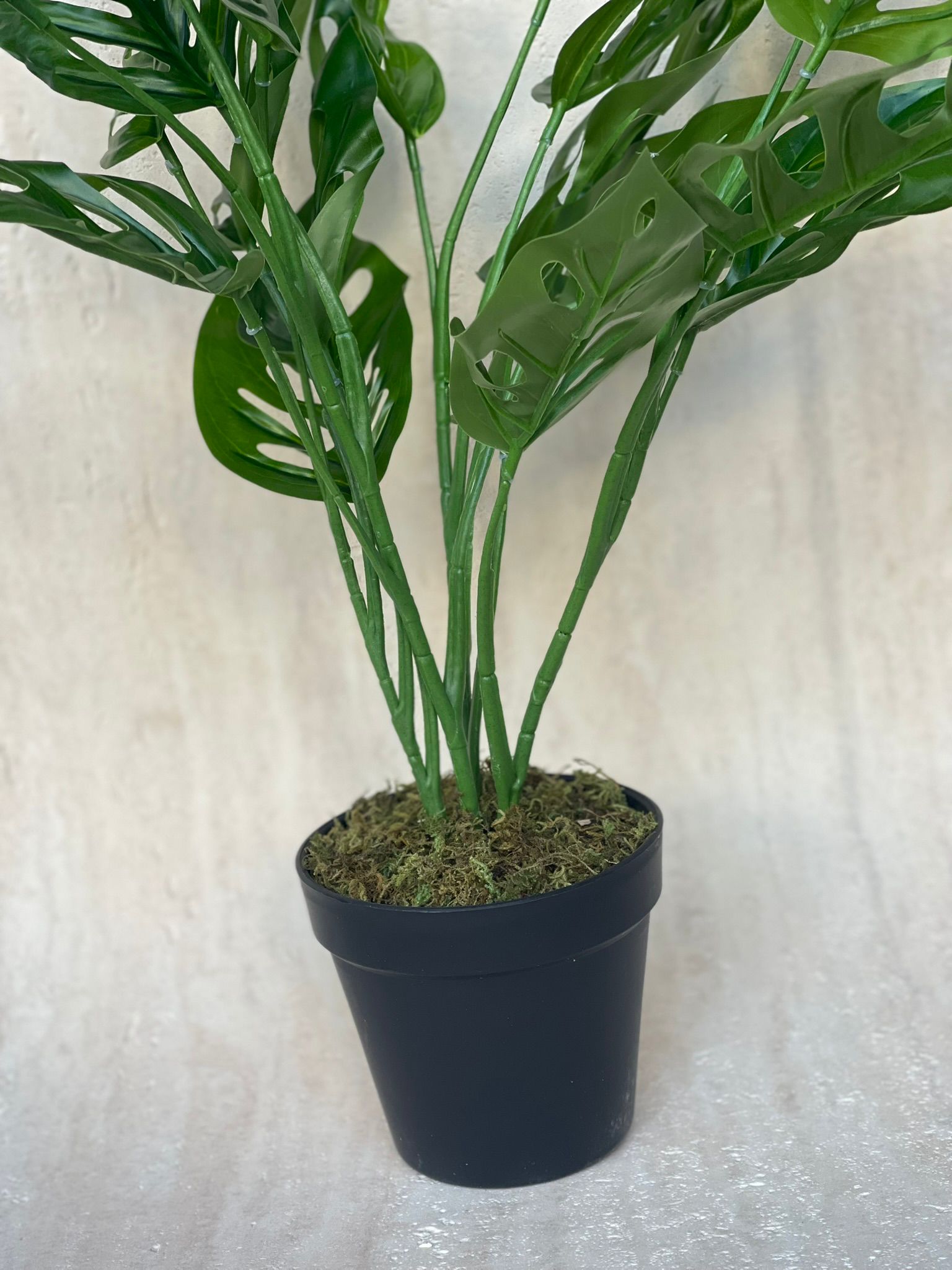 עציץ מונסטרה מאנקי מלאכותי