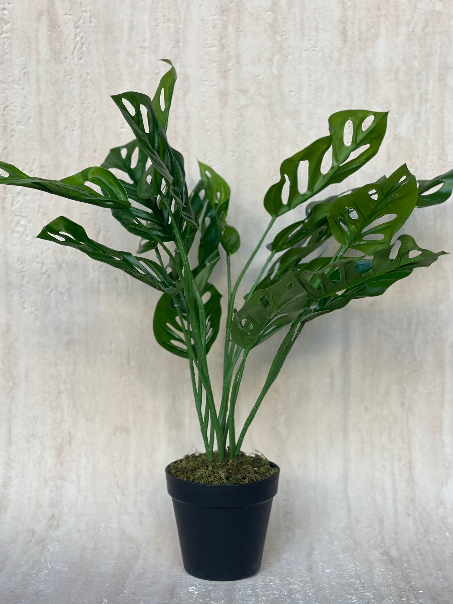 עציץ מונסטרה מאנקי מלאכותי