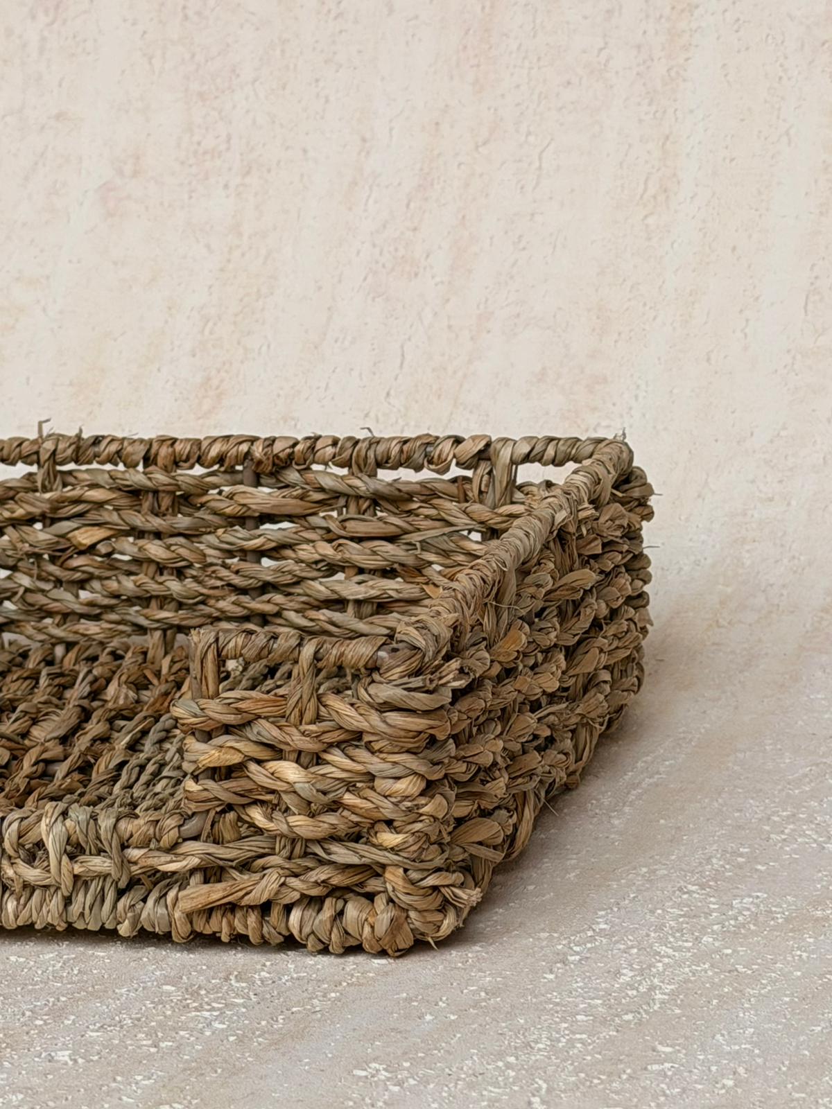 מחזיק מפיות קלוע