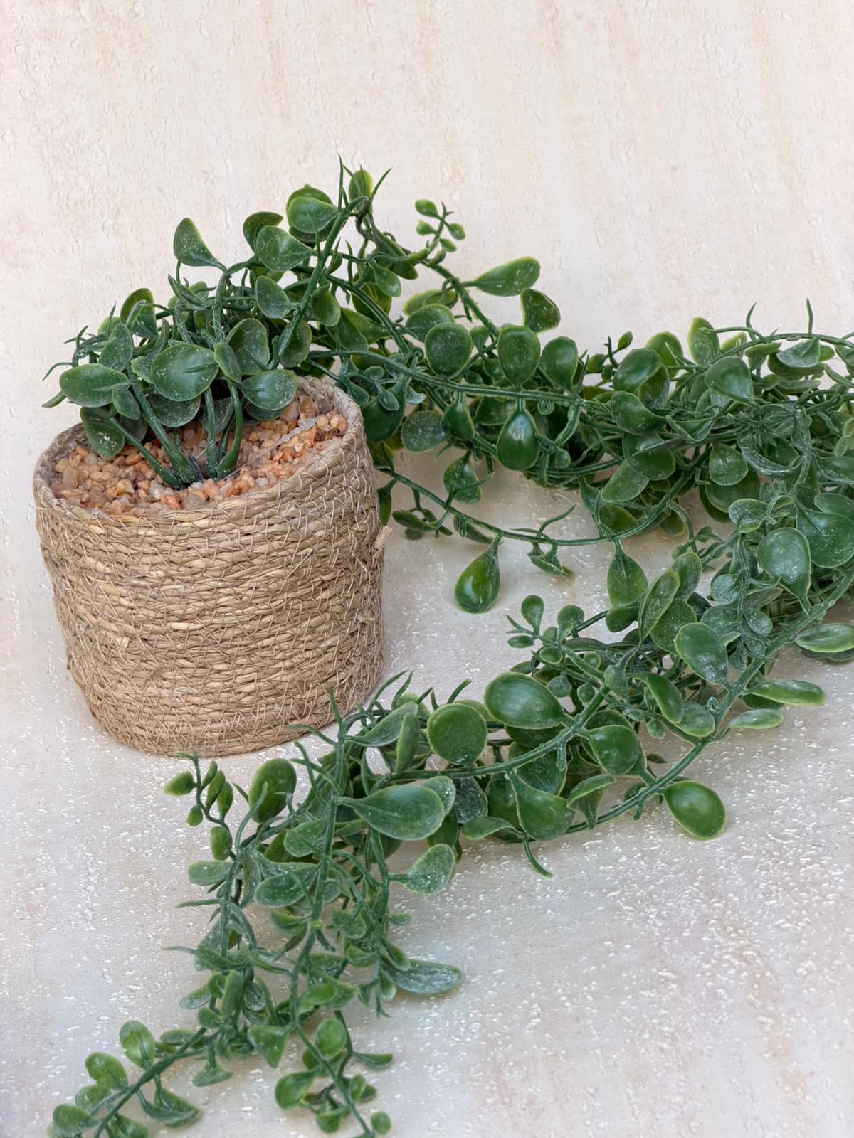 עציץ מטבעות נשפך בכלי קש קלוע