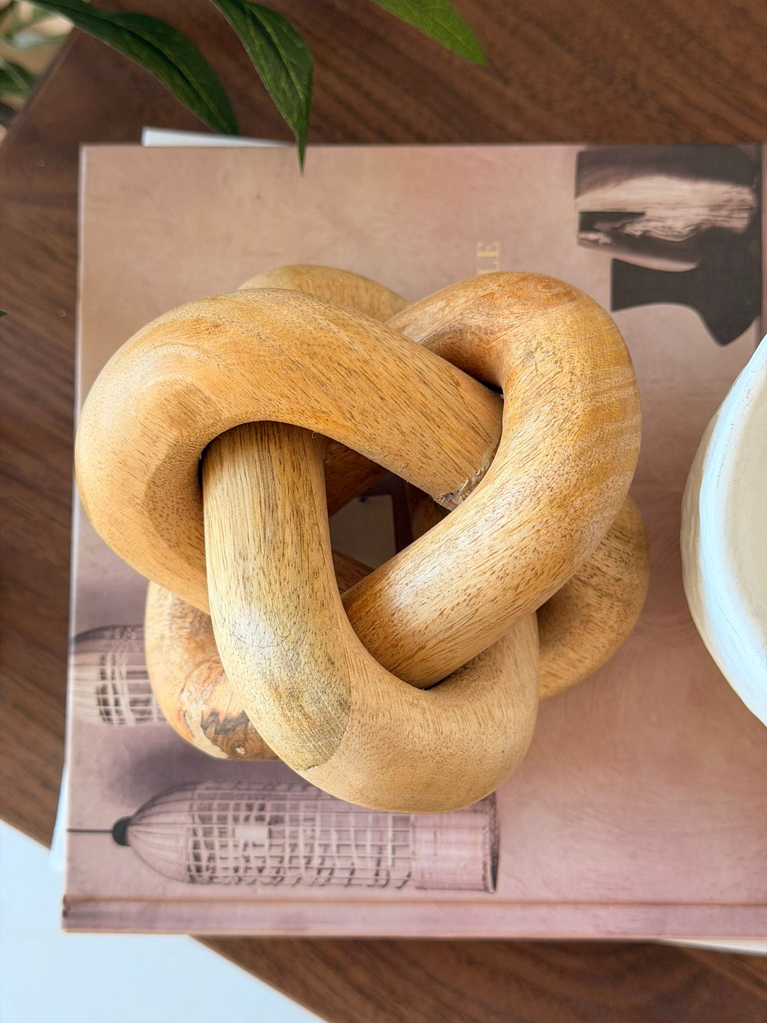 קישוט קשר עץ לינקס