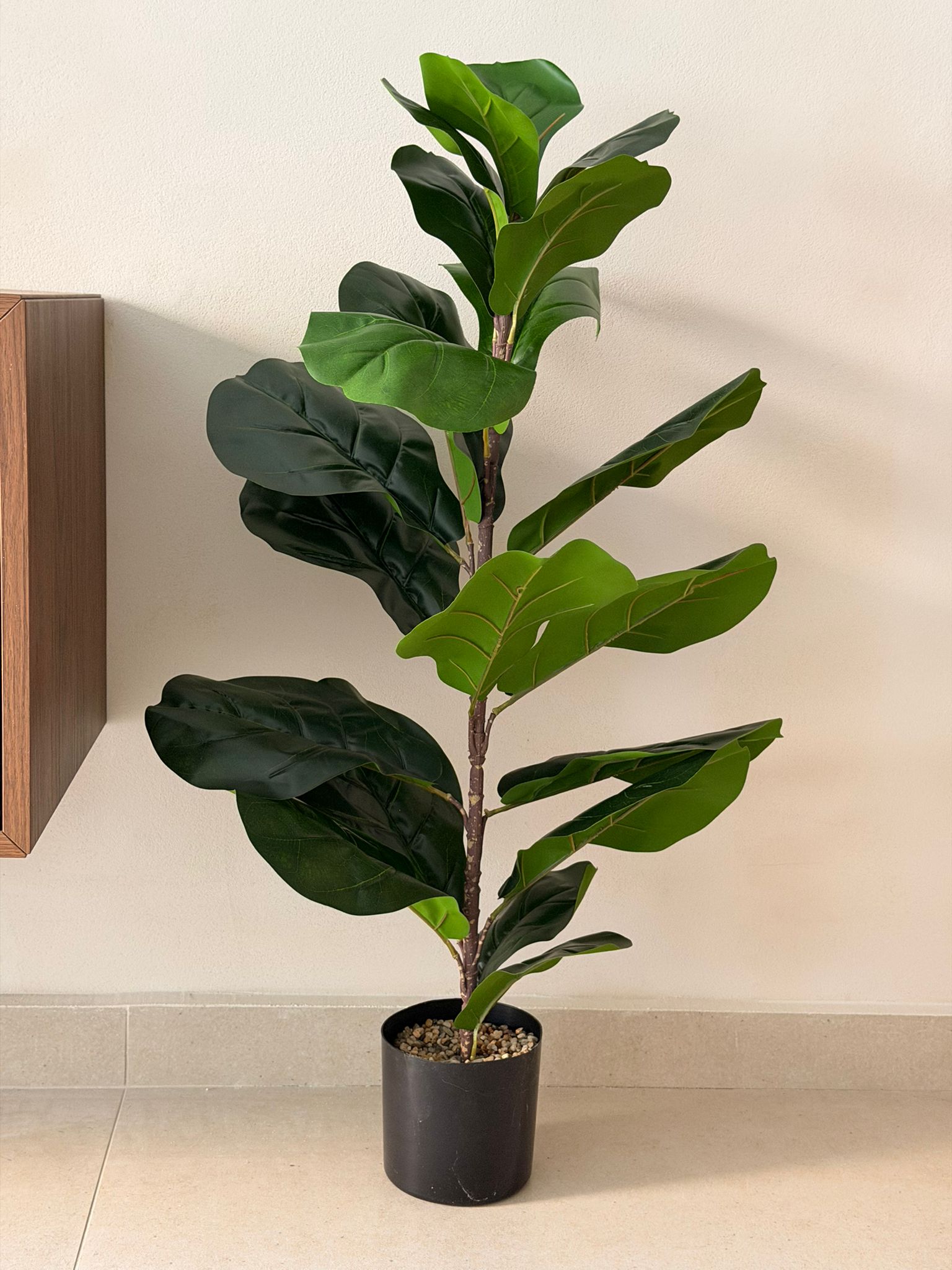 עציץ פיקוס כינורי מלאכותי 85 ס"מ