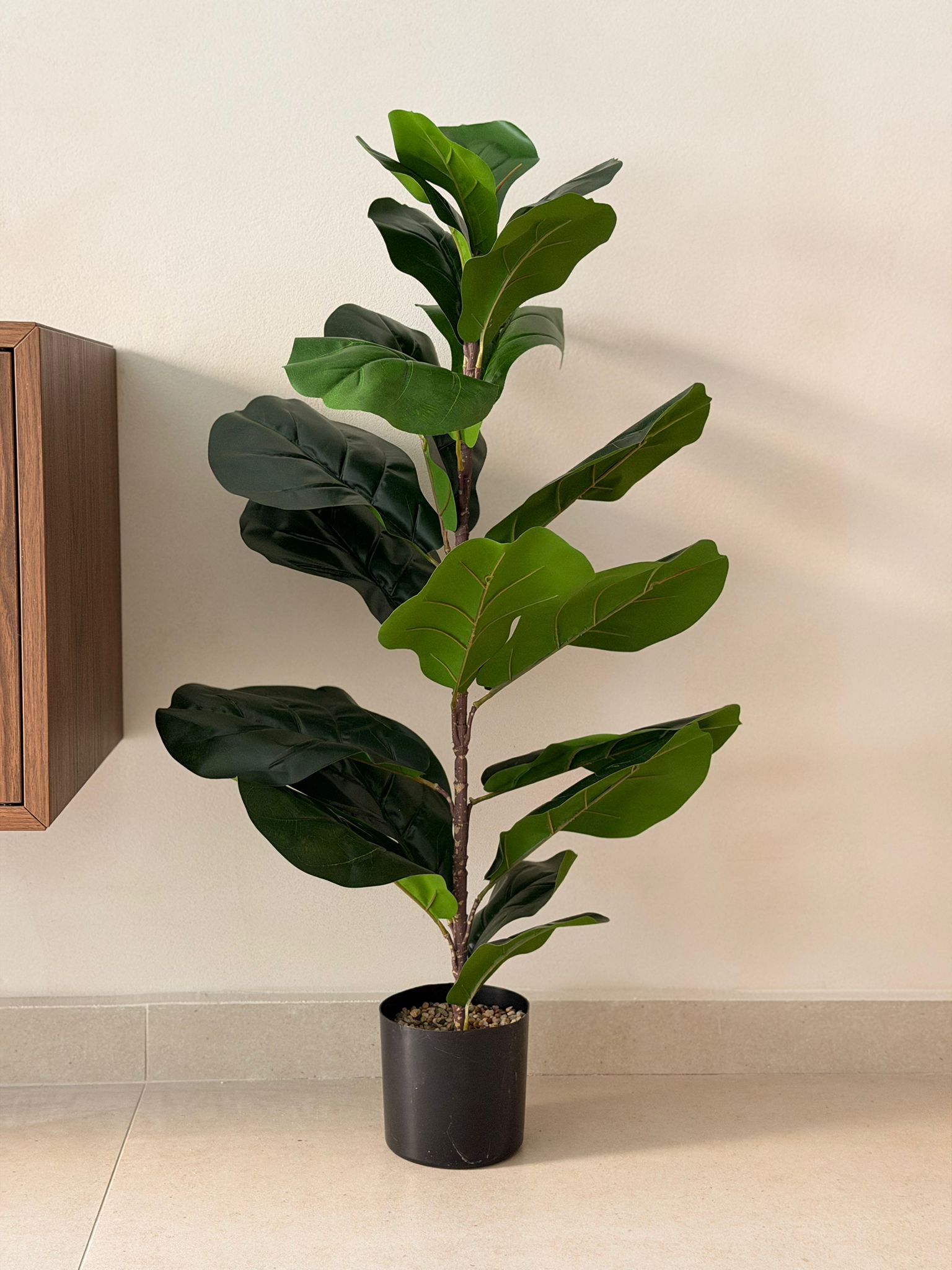 עציץ פיקוס כינורי מלאכותי 85 ס"מ