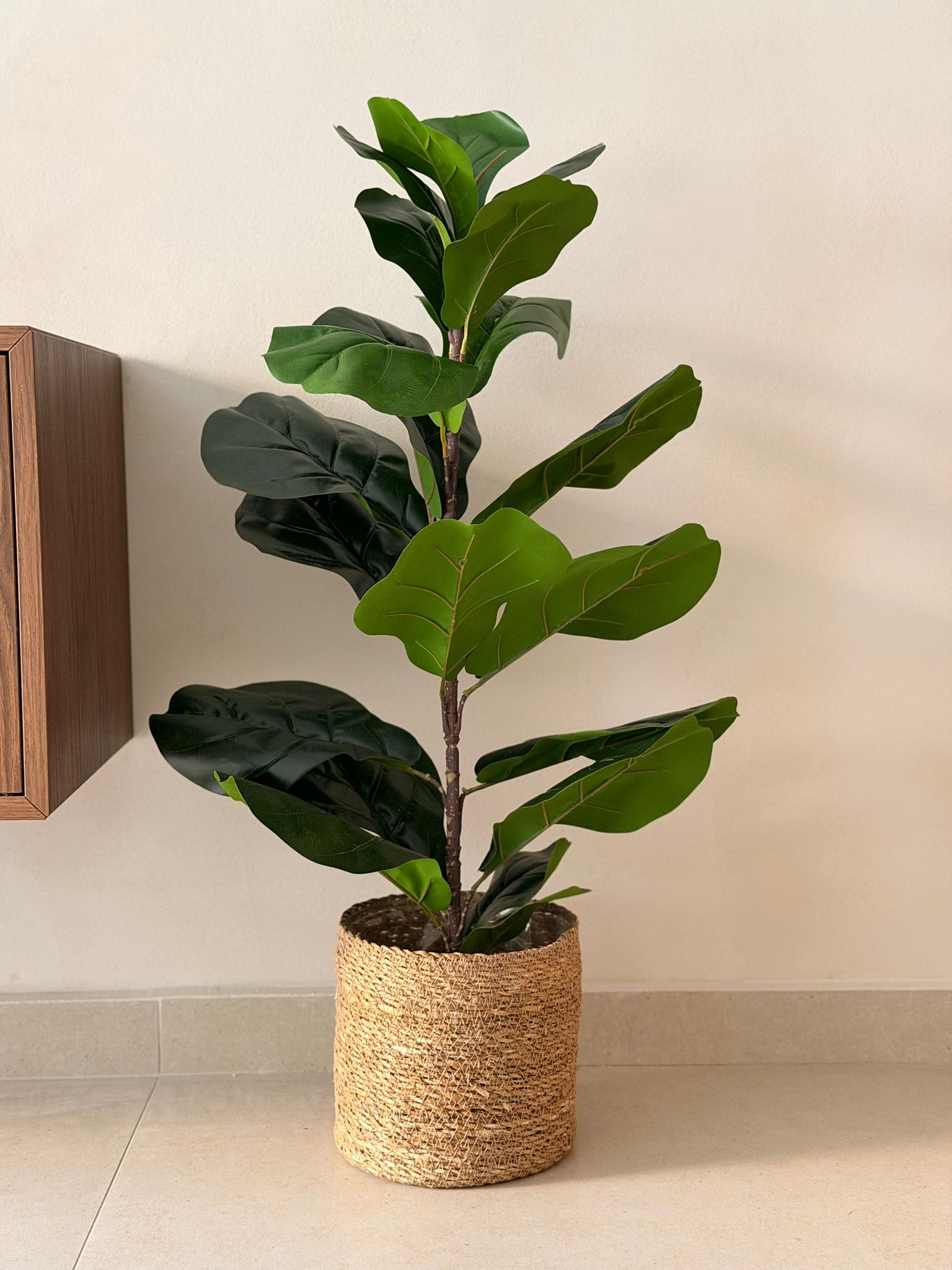 עציץ פיקוס כינורי מלאכותי 85 ס"מ