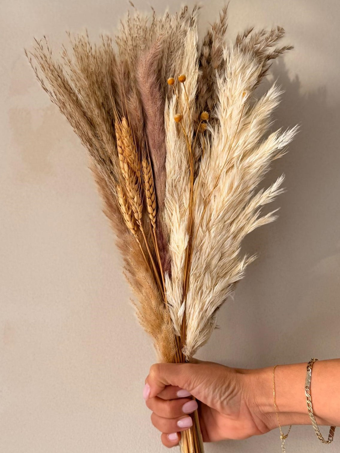 זר מיובש טבעי שדות