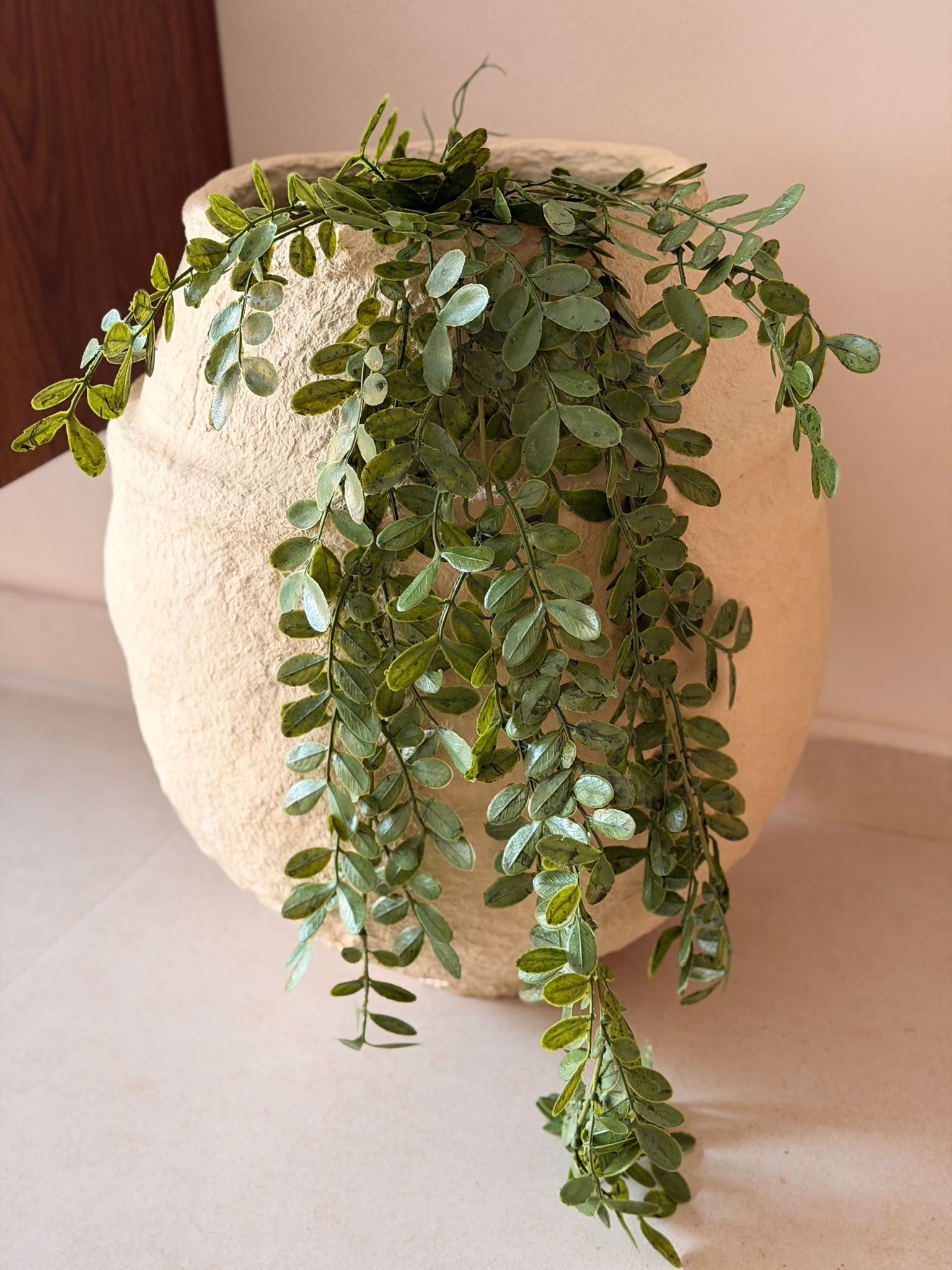 צמח דיכונדרה מלאכותי נשפך