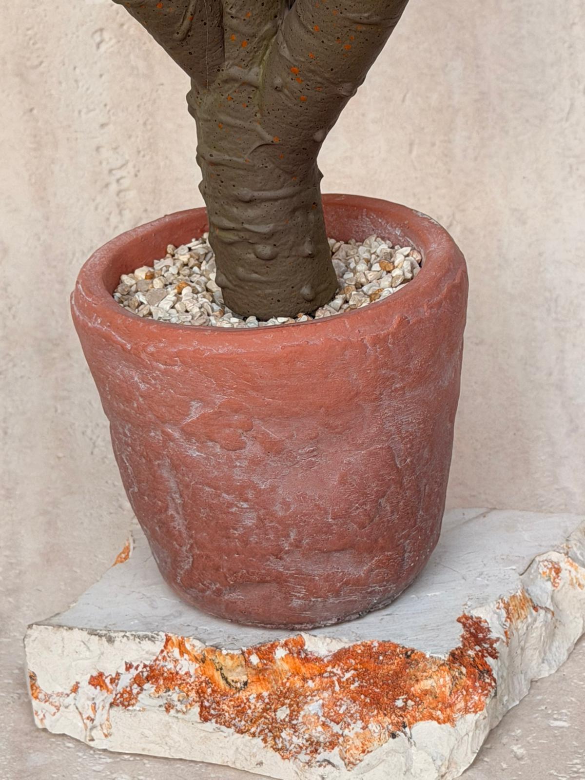 עציץ מלאכותי דזרט בכלי חימר