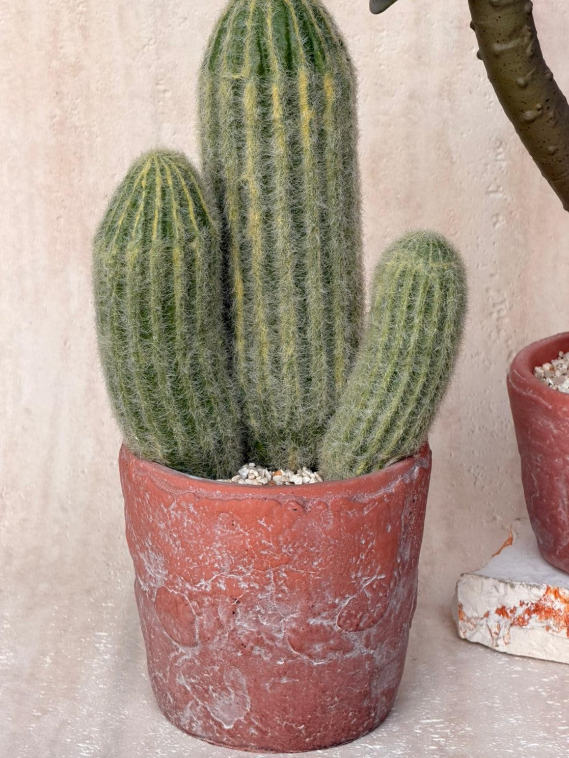 עציץ מלאכותי דזרט בכלי חימר