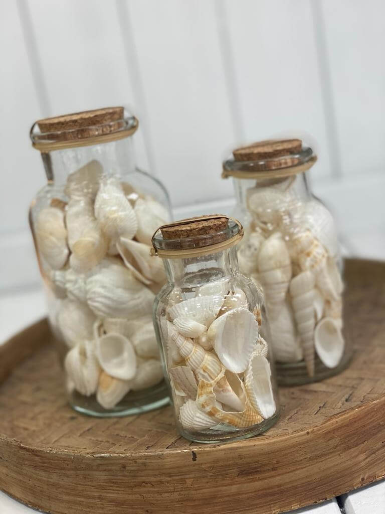 בקבוק צדפים - גודל לבחירה