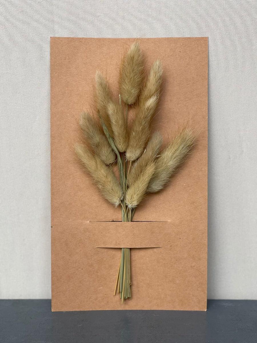 מארז מיני זנב ארנב - טבעי - 1item
