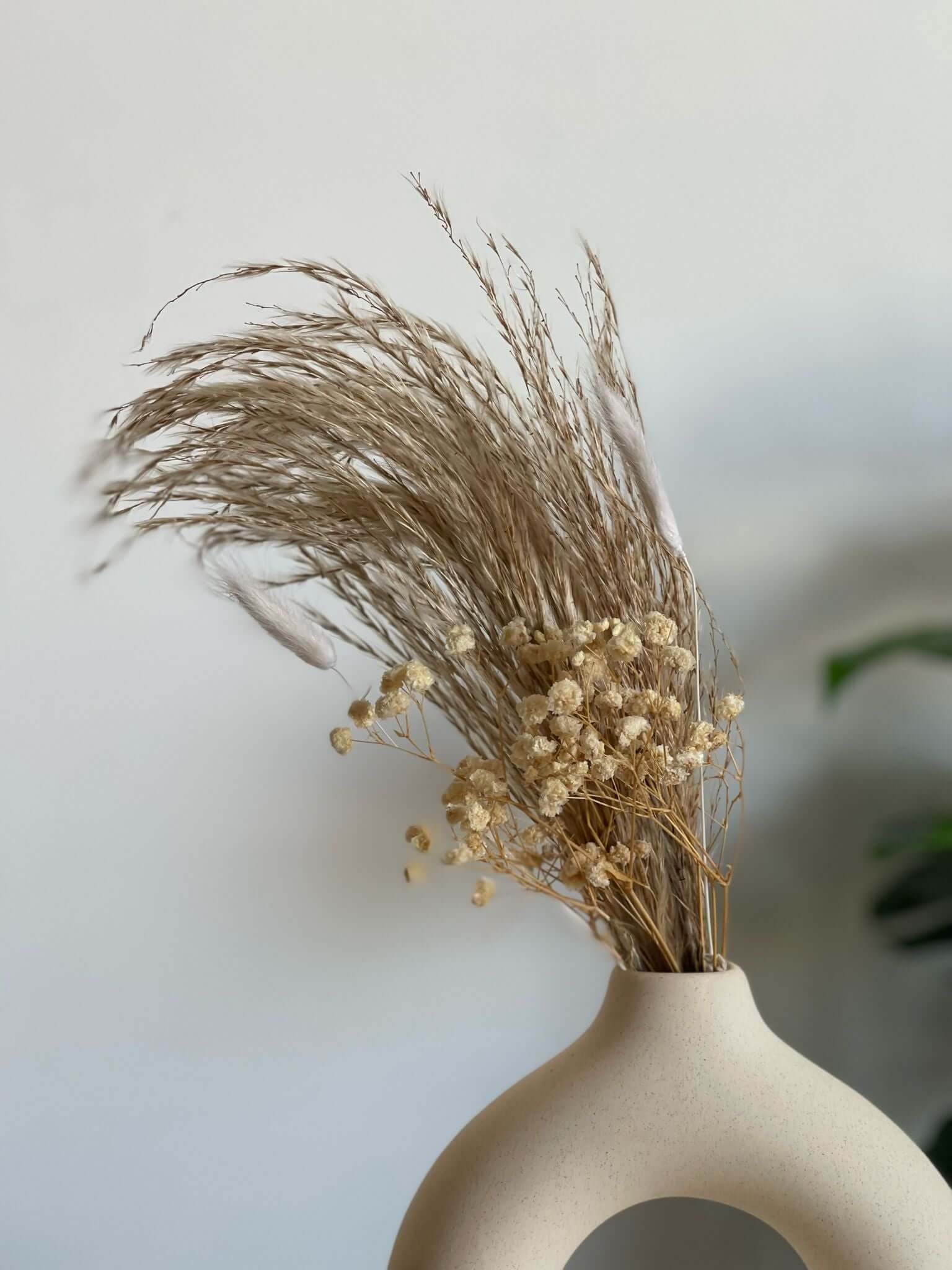 מיני זר מיובש משולב - 1item