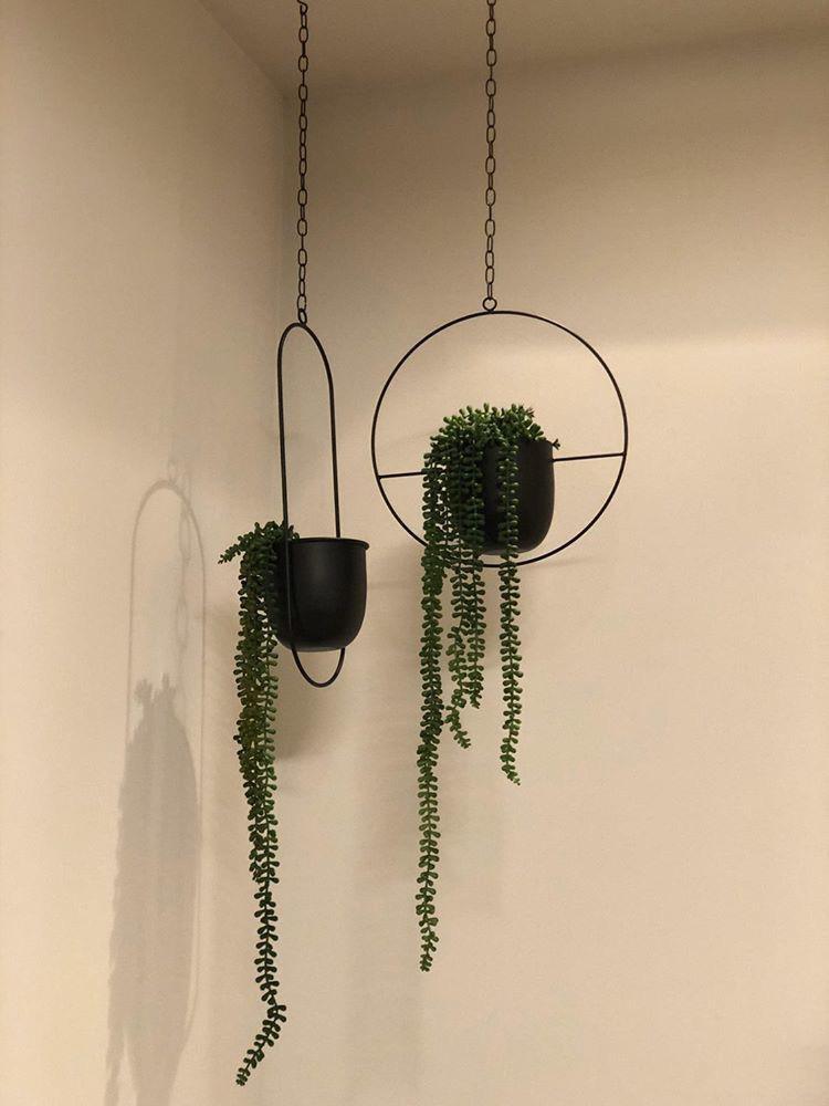 מתלה עציץ שחור לתקרה