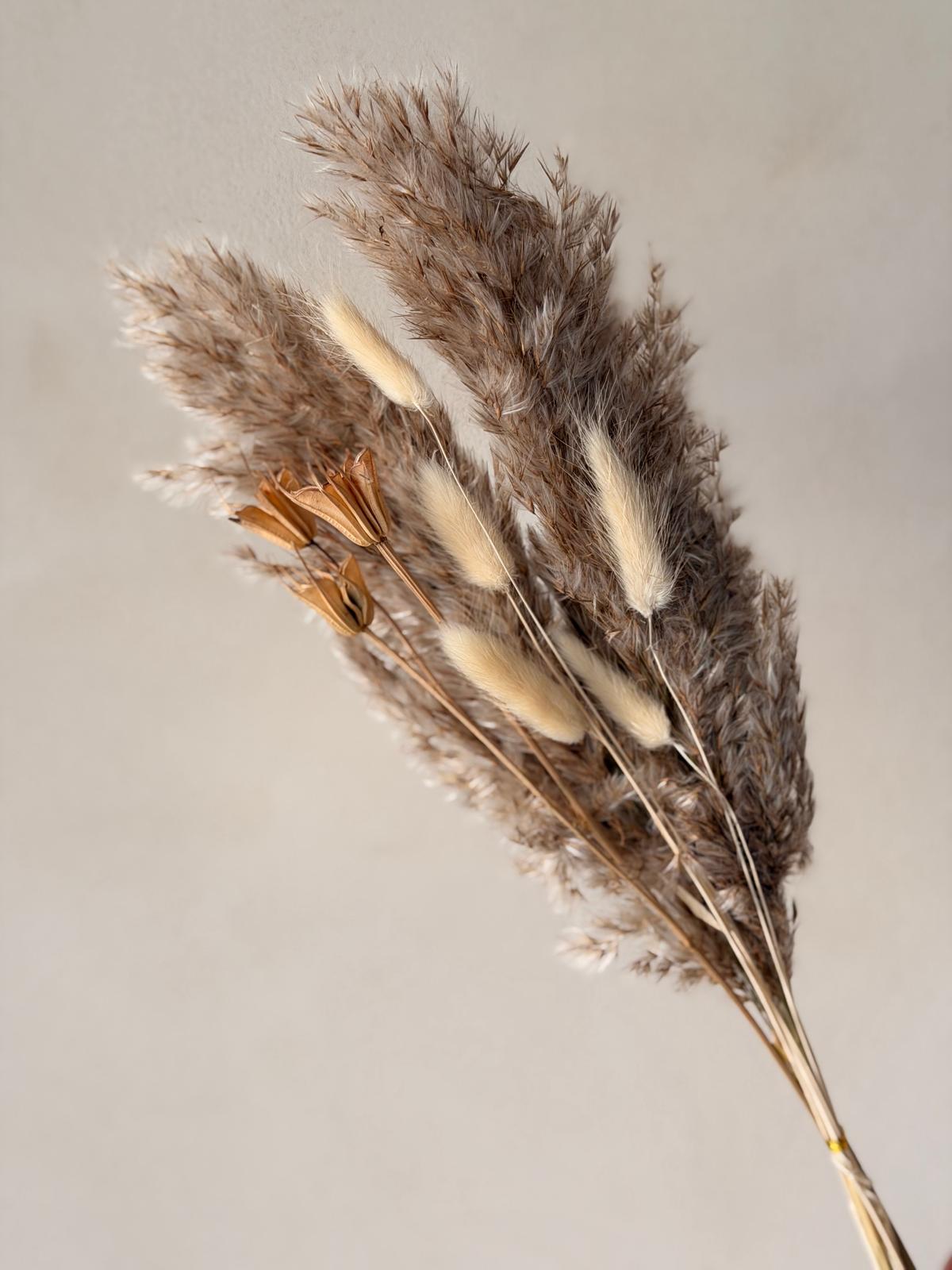 זר מיובש טבעי פלאפי