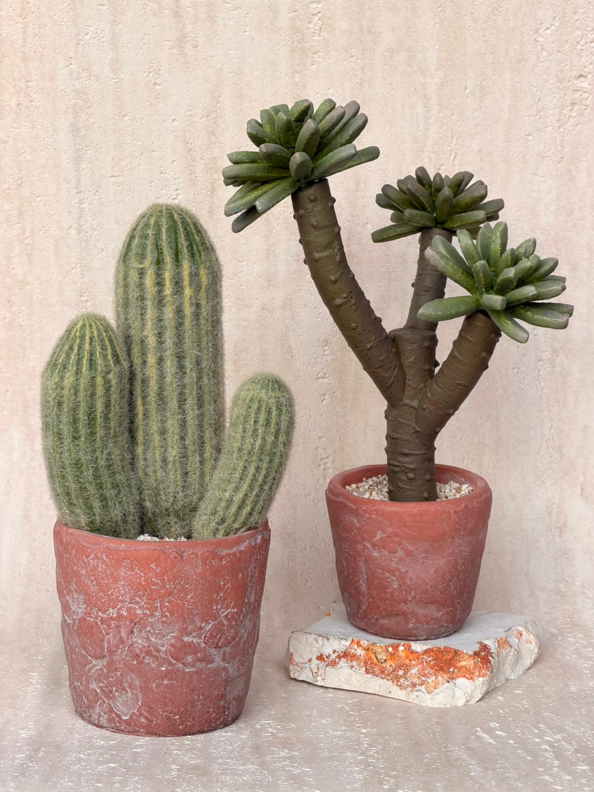 עציץ מלאכותי דזרט בכלי חימר