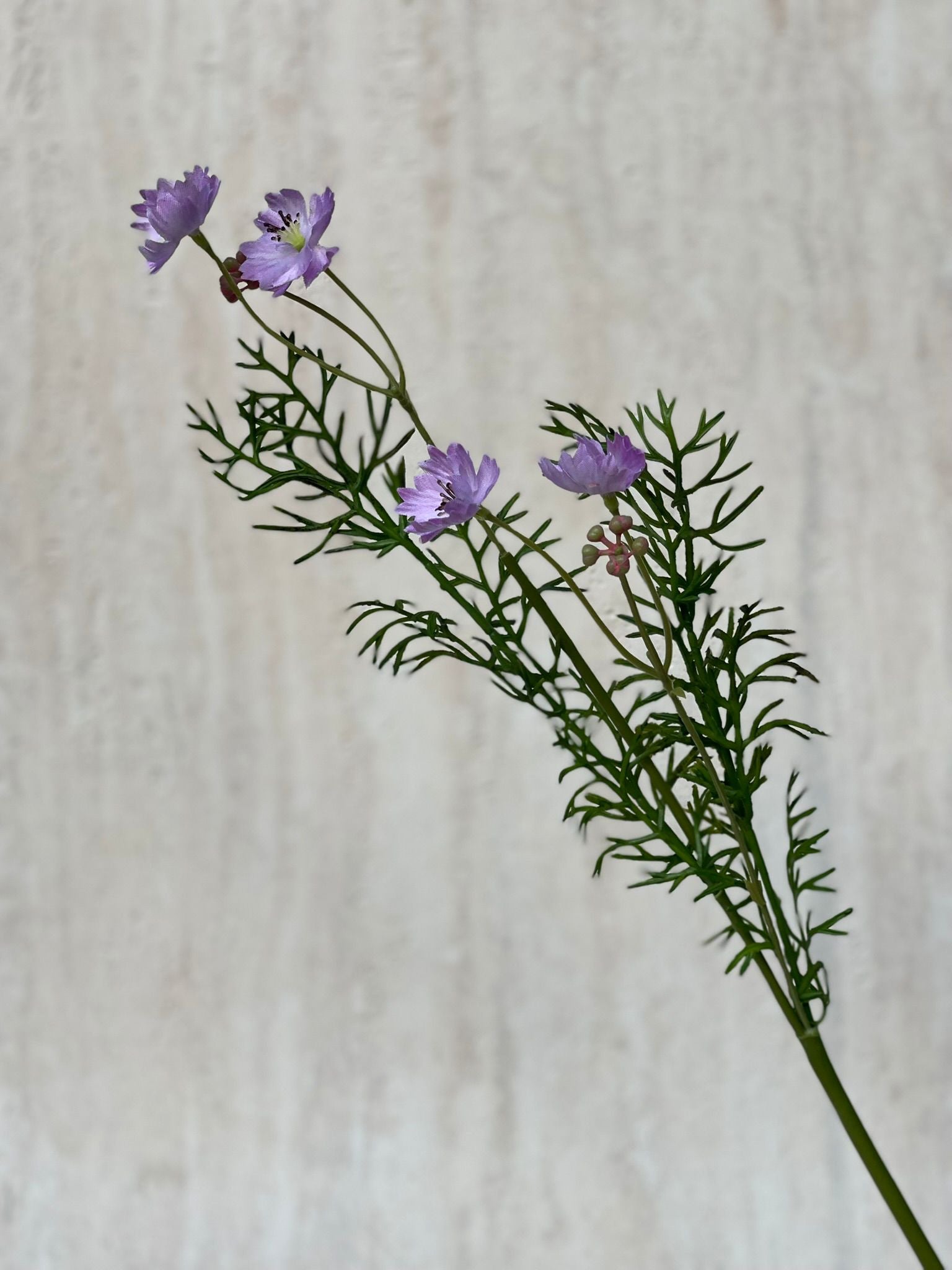 ענף מלאכותי קוסמוס ורוד