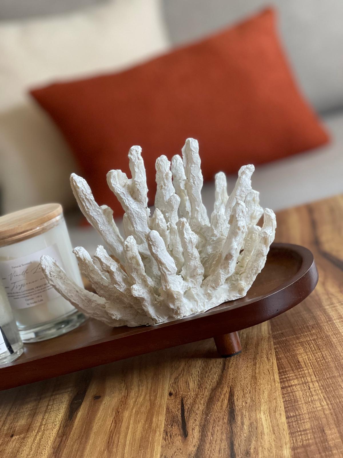 מגש עץ אגוז אובלי מוגבה