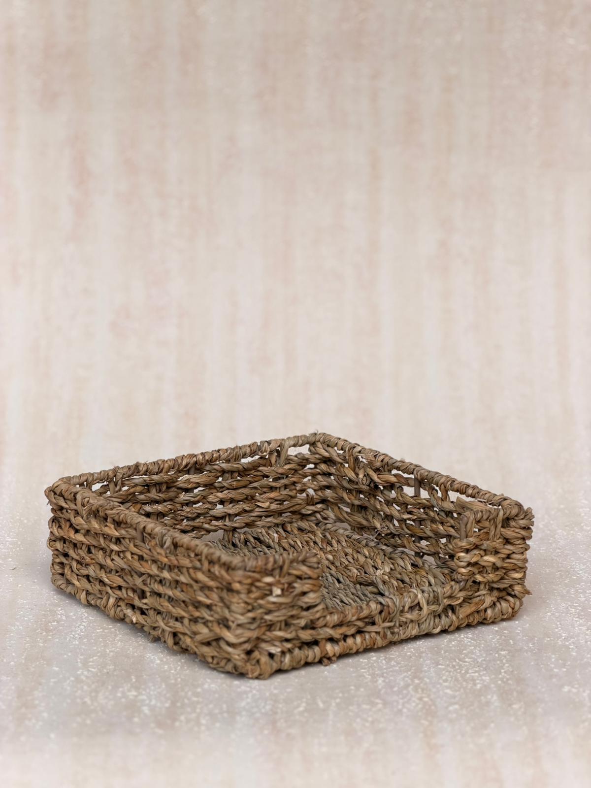 מחזיק מפיות קלוע