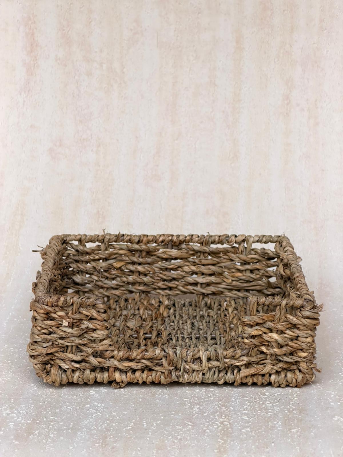 מחזיק מפיות קלוע