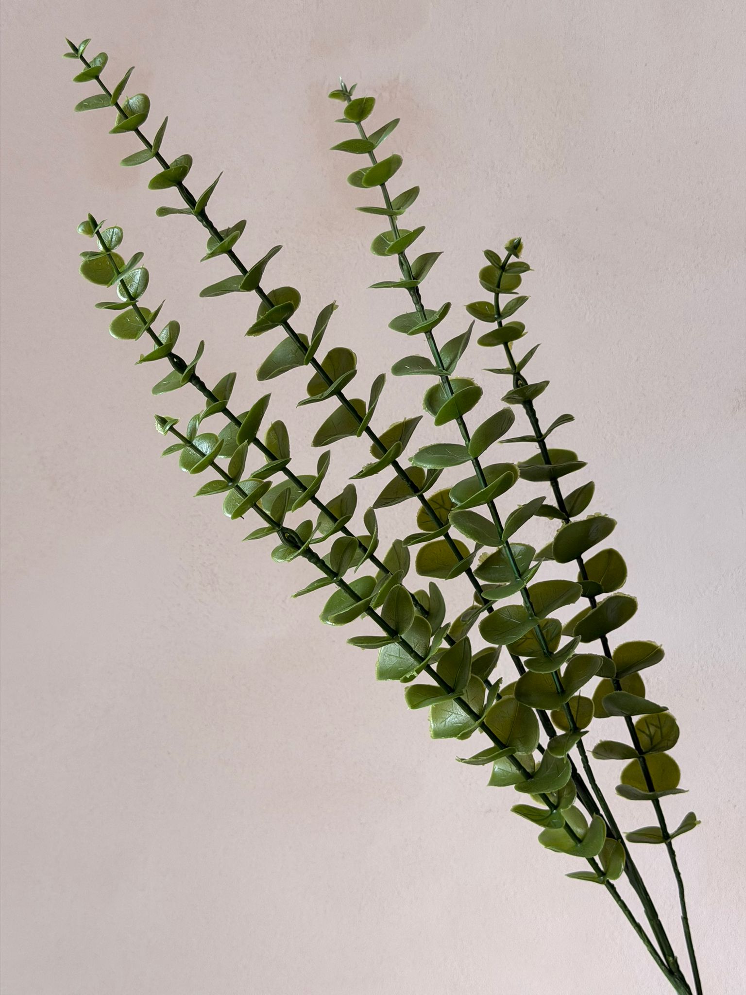 ענף אקליפטוס מלאכותי