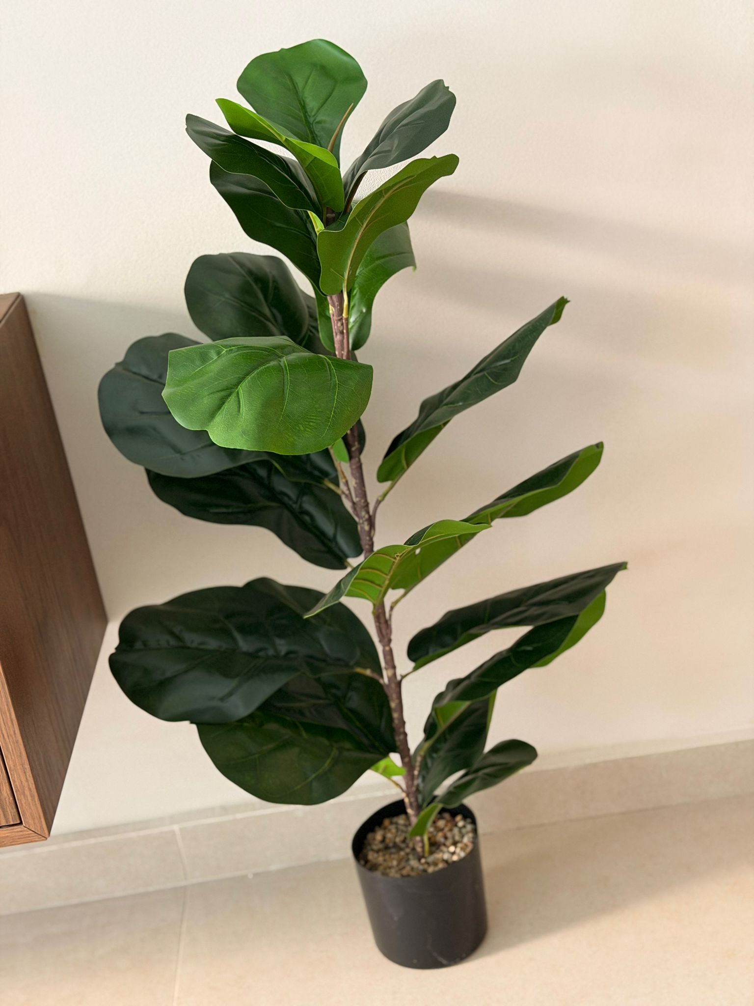 עציץ פיקוס כינורי מלאכותי 85 ס"מ