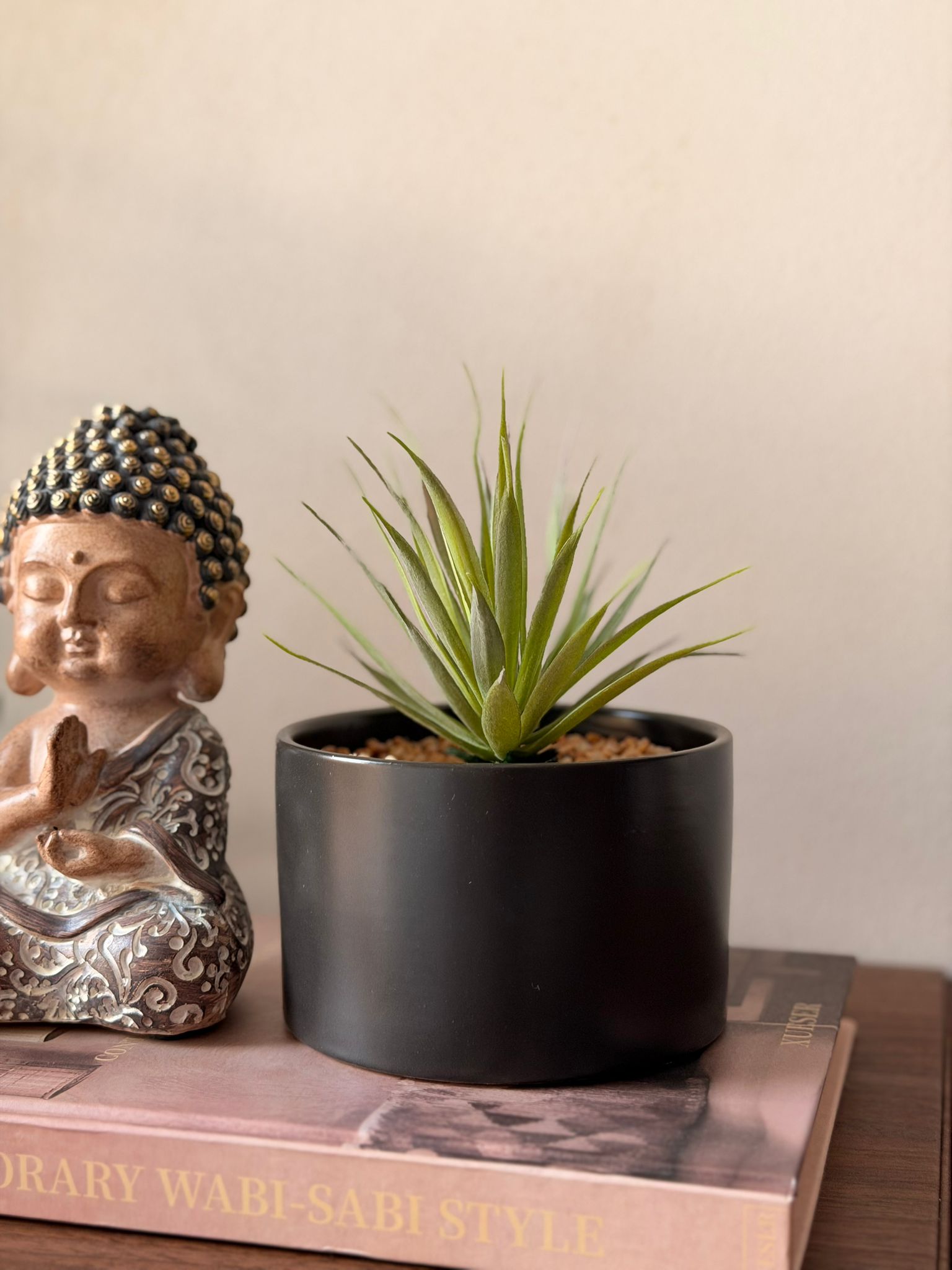 עציץ בלוק בכלי שחור