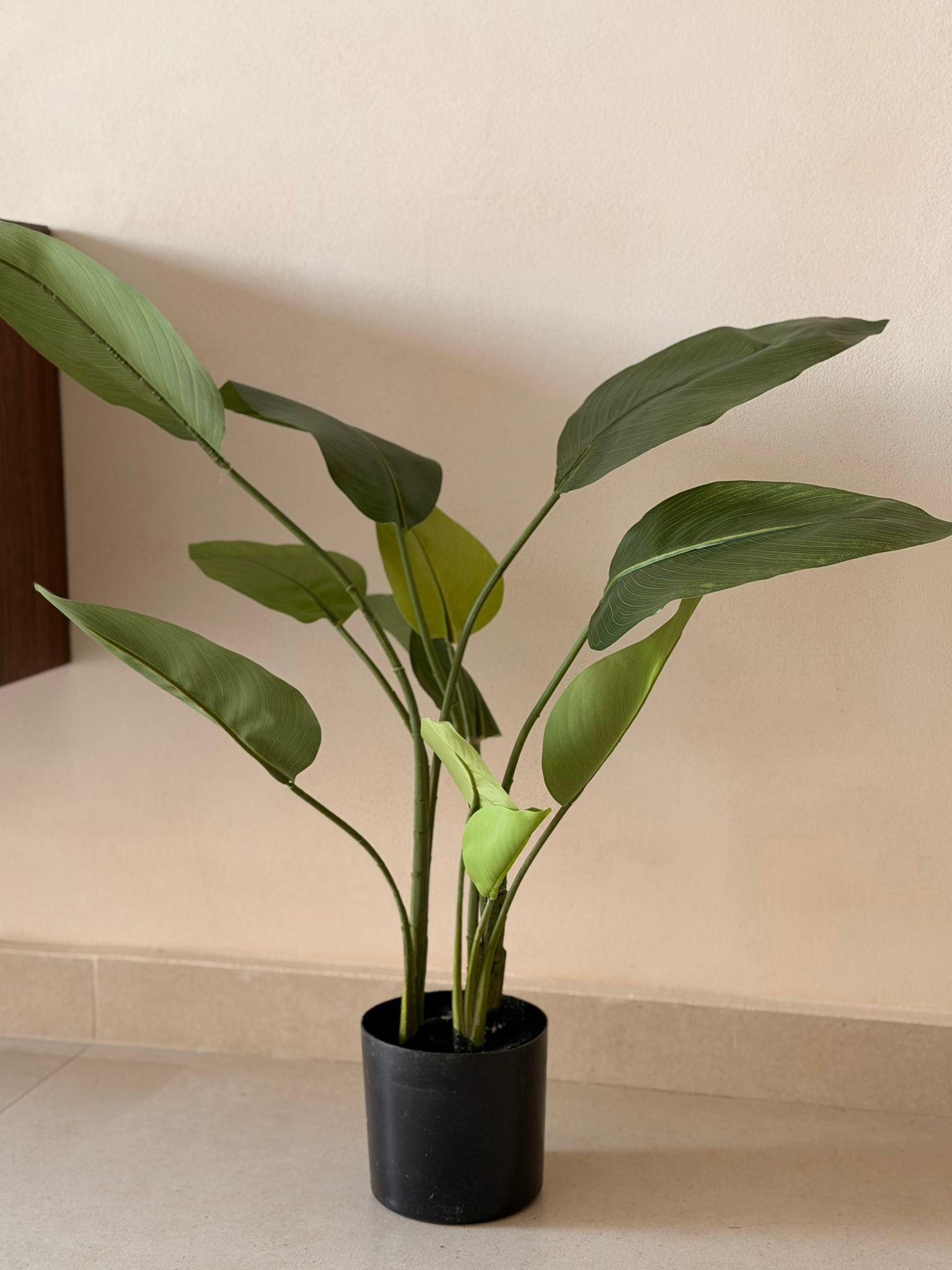 עציץ ציפור גן עדן מלאכותי 60 ס"מ