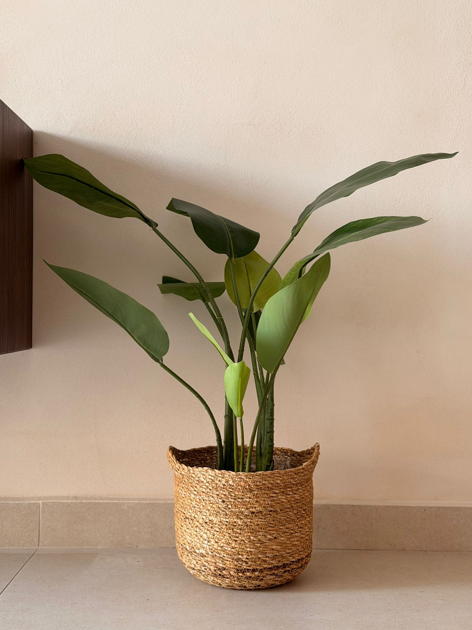 עציץ ציפור גן עדן מלאכותי 60 ס"מ