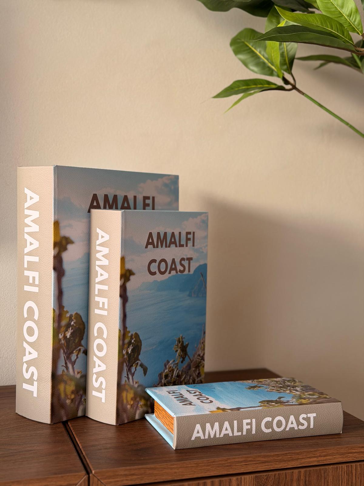 ספר קופסה אמלפי נפתח לאחסון