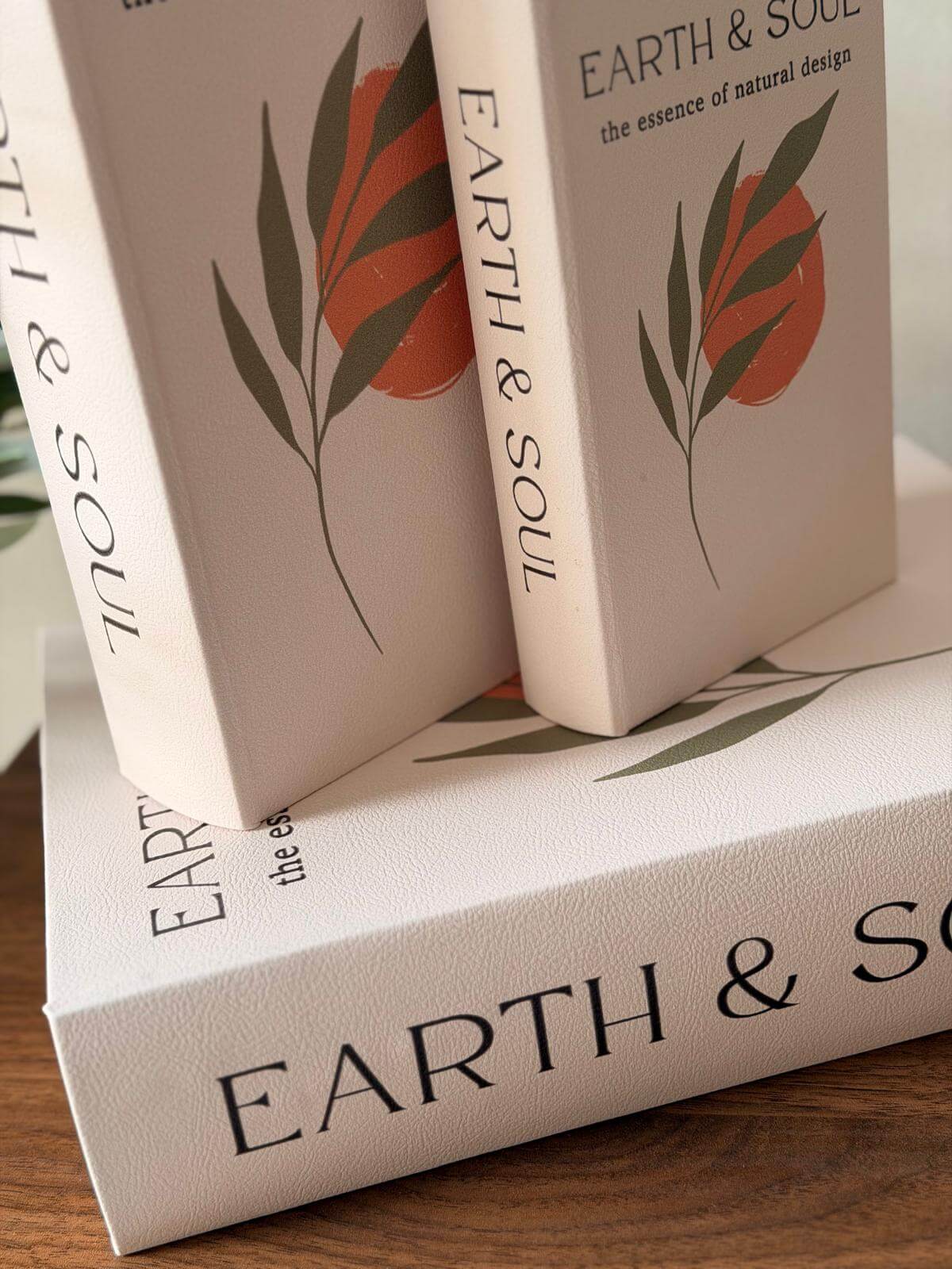 ספר קופסה אסנס נפתח לאחסון