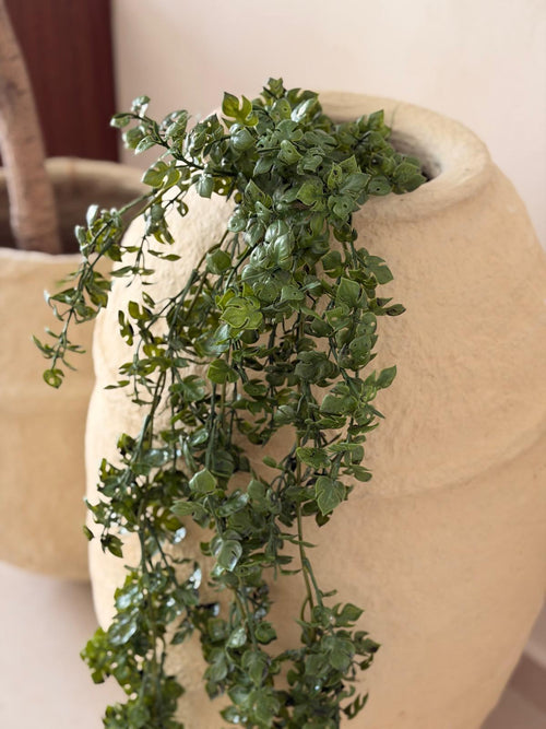 צמח מונסטרה מלאכותי נשפך