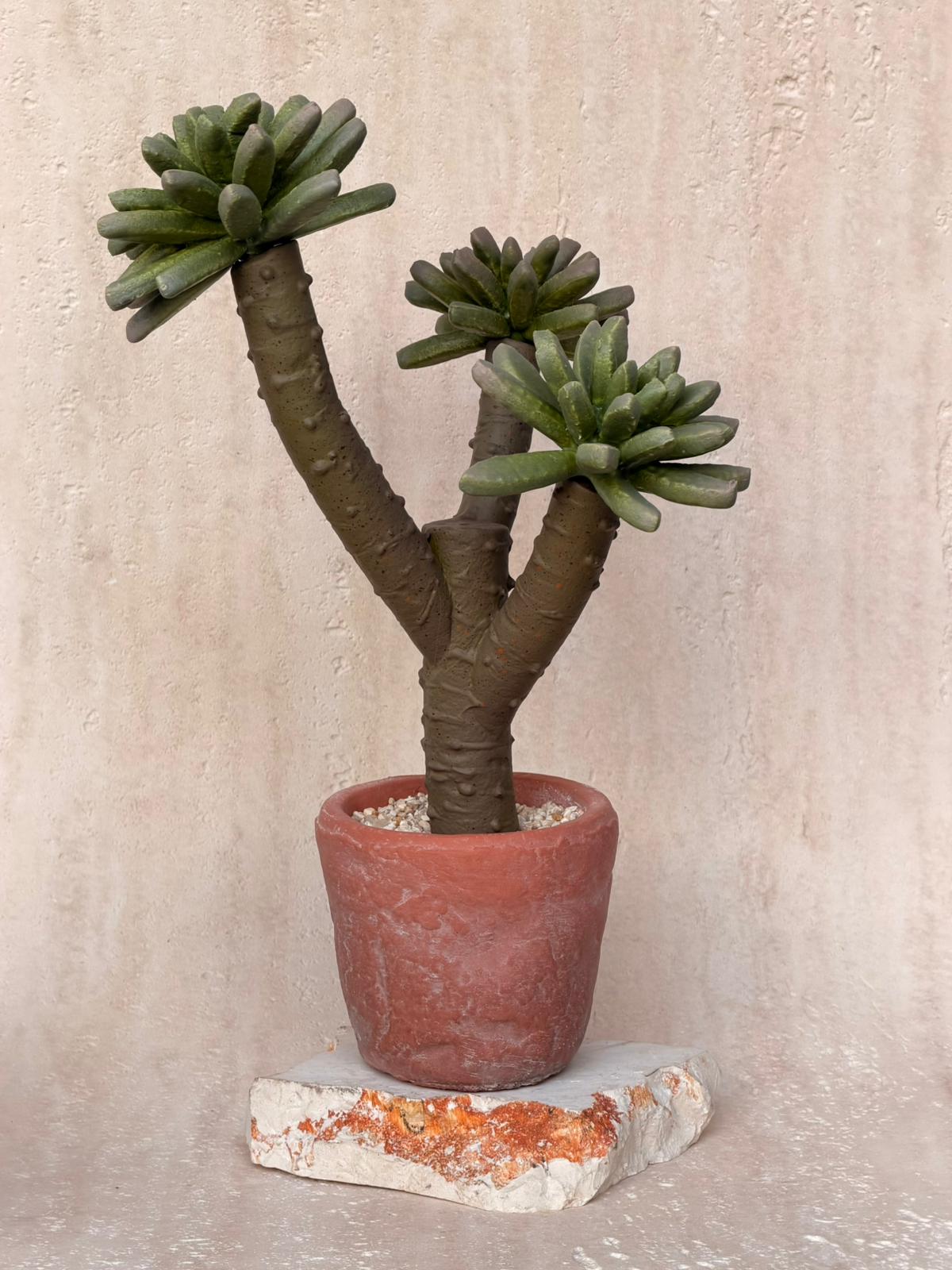 עציץ מלאכותי דזרט בכלי חימר