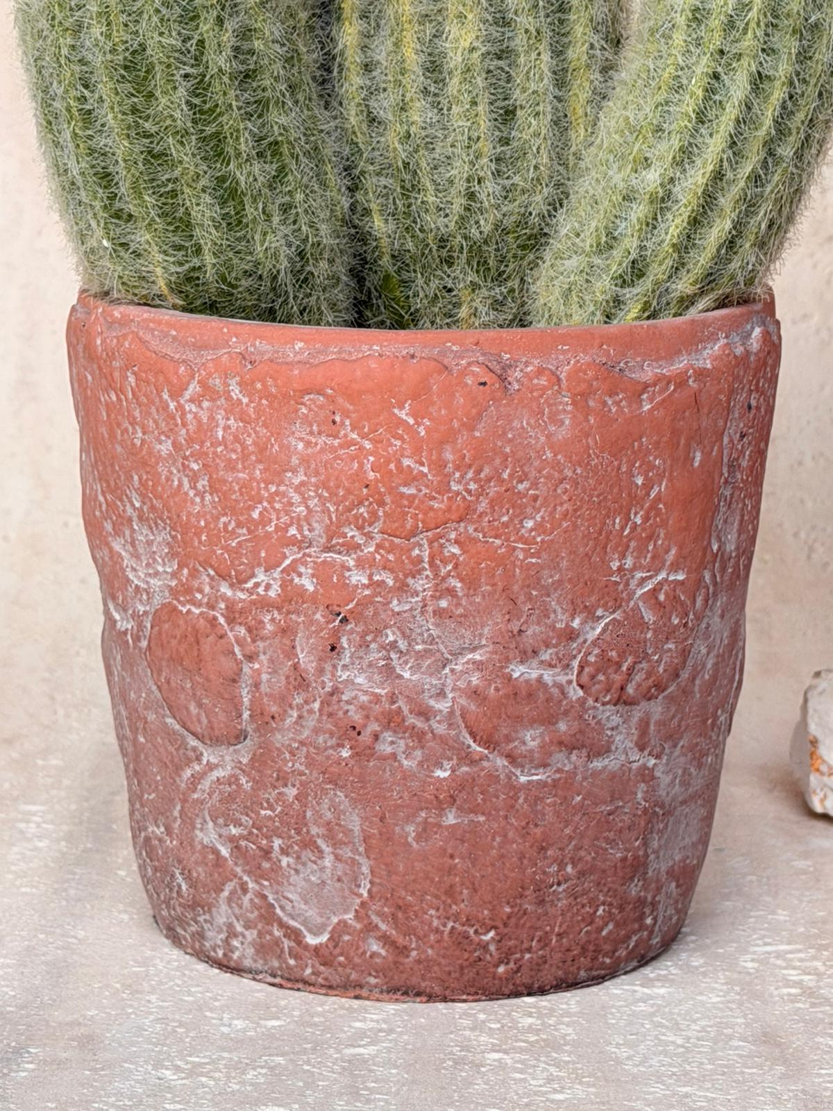 עציץ מלאכותי דזרט בכלי חימר