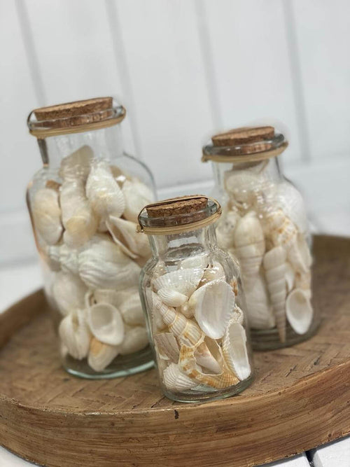 בקבוק צדפים - גודל לבחירה