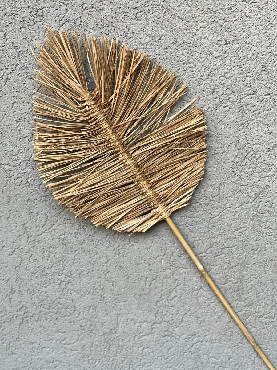 ענף קלוע ליף טבעי - 1item