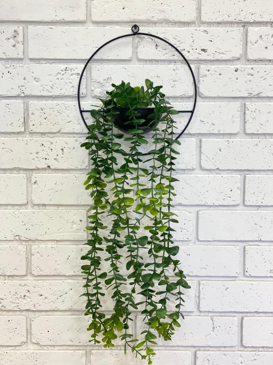 מתלה עציץ עגול עשוי מתכת בשילוב צמח כהה