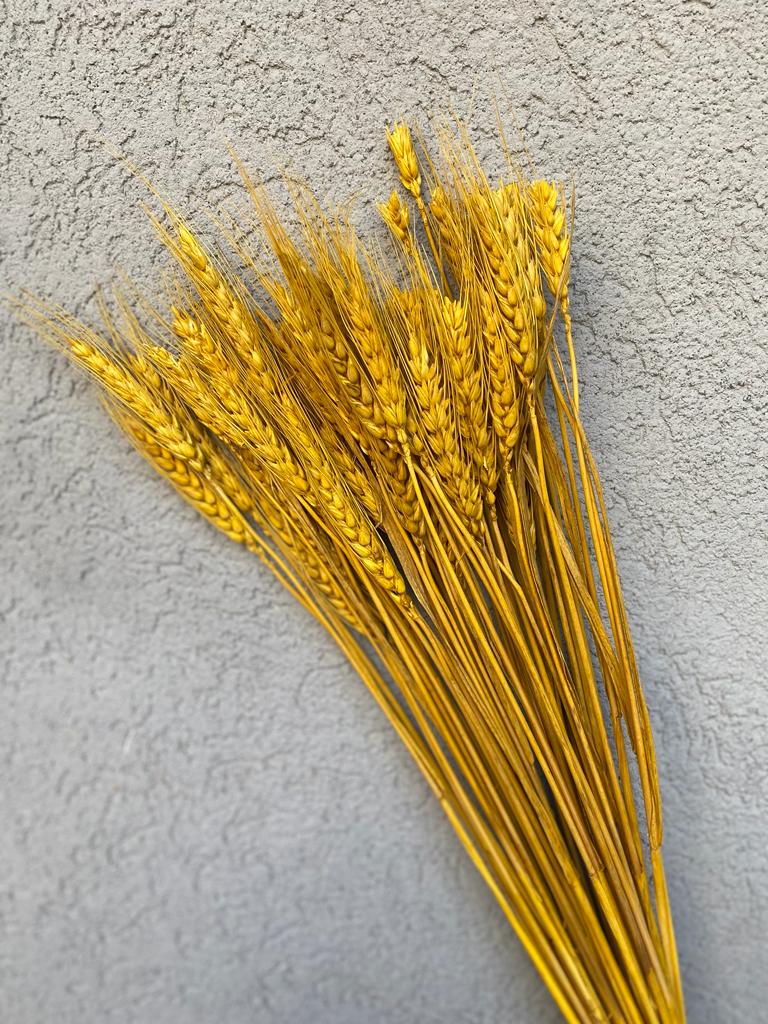 זר בארלי מיובש - חרדל - 1item