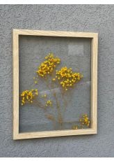 תמונת זכוכית ממוסגרת עם ענף גיבסנית טבעי